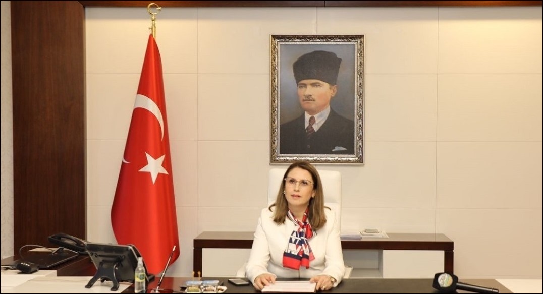 Vali Arslan: